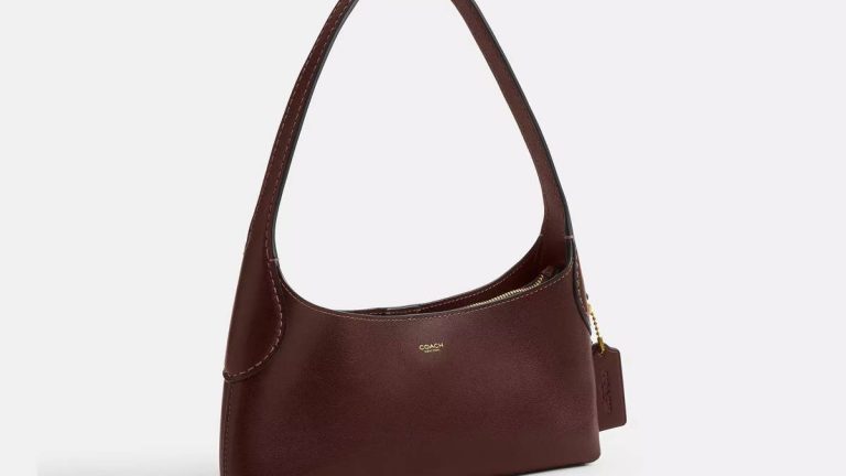 Meet Your New Favorite Fall Bag: The Coach Brooklyn