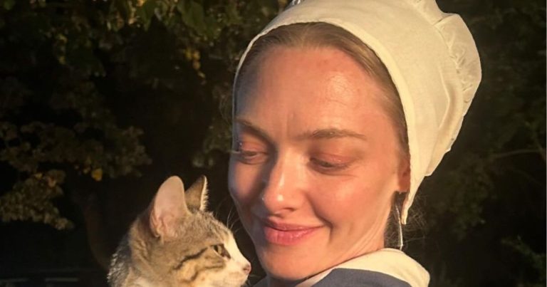 Amanda Seyfried Flashes VS Bralette Under Open Khaite Leather Jacket